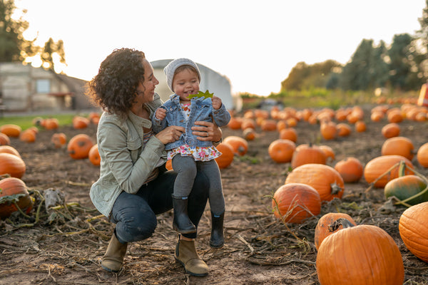How to Prepare for a Visit to a Pumpkin Patch This Fall