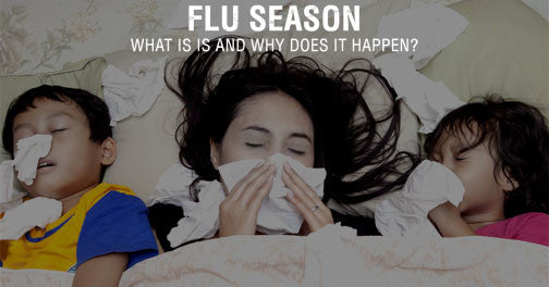Flu Season: What is It and Why Does it Happen?