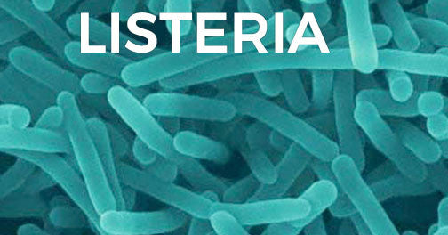 Listeria Causes and Treatment